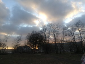 IMG_0023