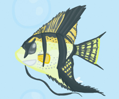 Aquarium Maker Aquarium Maker