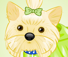 My Glamour Dog My Glamour Dog